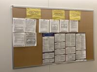 Bulletin Board in Katzen Featuring Notice of Petition for Election of a Staff Union