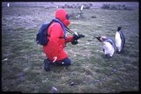 Jack Child kneeling and photographing King penguin chick