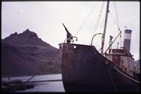 Portion of "Petrel" docked at Grytviken settlement 