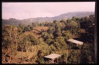 View of landscape near Santa Maria volcano in Guatemala