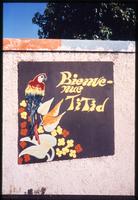 Mural featuring bird and message "Bienvenue Titid"
