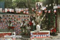 Haitians Vote In Presidential Elections