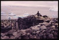 Nordenskiold Antarctica hut