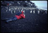 Jack Child laying on the ground photographing Chinstrap penguins