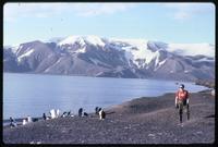 Jack Child and Chinstrap penguins with mountains in background