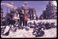 Man feeding pigeons in Plaza de Mayo 
