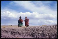 View of Bolivian women walking across Altiplano