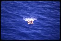 Aerial view of a raft drifting in the ocean carrying Cuban exiles, as taken during a Brothers to the Rescue mission, Miami, Florida