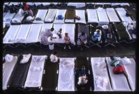 Aerial view of cots at a Haitian refugee center on the Guantanamo Bay Naval Base
