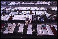 Aerial view of cots being used by Haitian political refugees at the Guantanamo Bay Naval Base