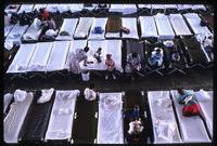 Aerial view of cots in use by Haitian political refugees at the Guantanamo Bay Naval Base