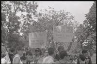Signs are held aloft at a protest against Richard J. Daley after the police brutality at the Democratic National Convention in Chicago, Lafayette Park, 31 August 1968