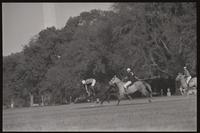 Action shot of a polo game near the Washington Monument on the National Mall, undated