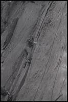 A woman climbing a rocky incline, probably around Washington, D.C., undated