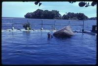 Jack Child swimming near Lake Nicaragua 
