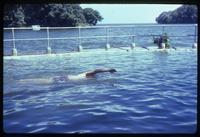 Jack Child swimming laps in pool near Lake Nicaragua