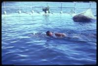 Close view of Jack Child swimming in pool near Lake Nicaragua 