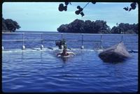 Jack Child leaping towards camera in pool near Lake Nicaragua