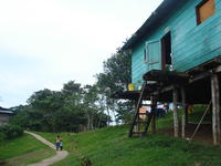 A hillside and house in la Comarca de Ngöbe-Buglé, Panama 