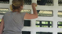 A close-up of Rachel Teter painting the base coat on the new community library, El Plátano, Panama 