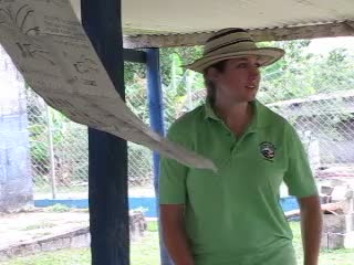 Ruby, a Peace Corps Volunteer, teaching an agribusiness seminar on coffee pruning in El Plátano, Panama