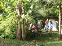 Men clearing trees near Rachel Teter's home in El Plátano, Panama