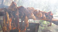A close-up of meat smoking over an open fire in El Plátano, Panama