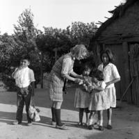 Peace Corps Volunteer Lynne Alper and Mapuche children holding a kitten on the Reducción Quetrahué, Chile