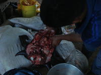 Man handling a butchered cow's head, El Plátano, Panama