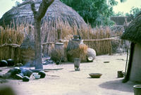 Compound in Niger