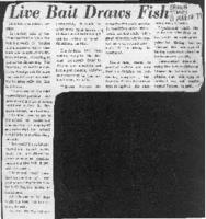 Live Bait Draws Fish, clipping from Samoa Times, 11 March 1977