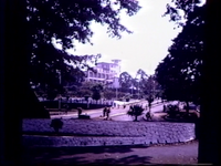 The Cotton Tree in Freetown, Sierra Leone, c. 1967-1969