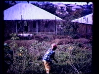 House and Garden behind Kenema Technical Institute, Kenema, Sierra Leone, c. 1967-1969