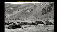 Nomadic/Koochi Encampment, Farah Province, Afghanistan, c. 1971-1973