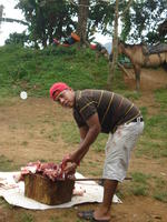Man butchering cow meat, El Plátano, Panama