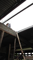 Construction of library roof in El Plátano, Panama