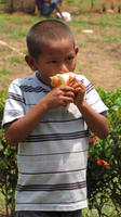 Boy eats a respa'o, a Panamanian treat made of shaved ice and condensed milk, Nueva Esperanza, Panama 