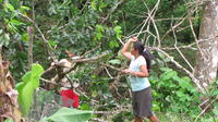 Man and woman use a machete to remove a fallen branch, El Plátano, Panama