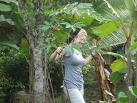 Rachel Teter doing yard work in El Plátano, Panama