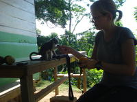 Rachel Teter feeds Monin the monkey a mango slice in El Plátano, Panama