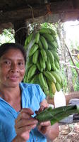 Woman shows wrapped bollo, El Plátano, Panama