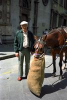 Alternate view of Herb Striner near a horse, Florence, Italy