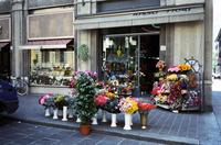 Florist shop storefront, Como, Italy