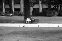 Man and woman sitting on a park bench