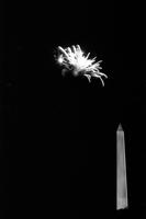 Exploding firework over the Washington Monument, Washington, D.C.