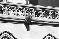 Alligator gargoyle on the south nave of the Washington National Cathedral (1977)