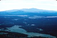 Aerial view of forest and mountains, Navajo Reservation, Arizona (1966)