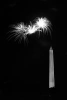 Firework display near the Washington Monument, Washington, D.C.