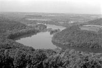 Aerial scene of river and forest