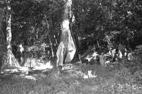 Tents at campsite, Deep Creek Lake, Maryland (Summer, 1963)
